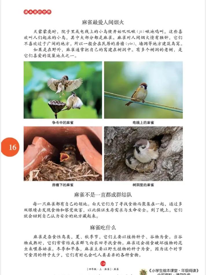三P交换小说在线阅读 - 热门禁忌情感故事