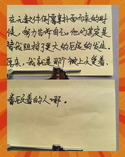 总要习惯一个人 | 在线阅读全文完整版