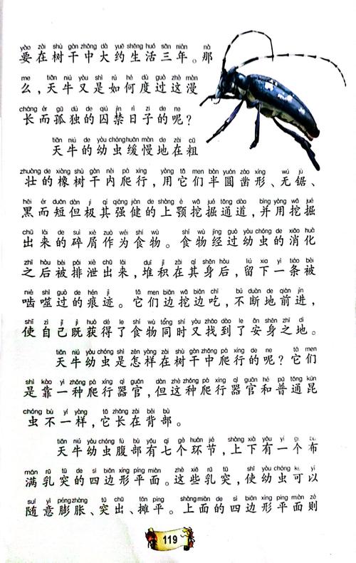 池莉小说在线阅读全集｜经典作品免费阅读