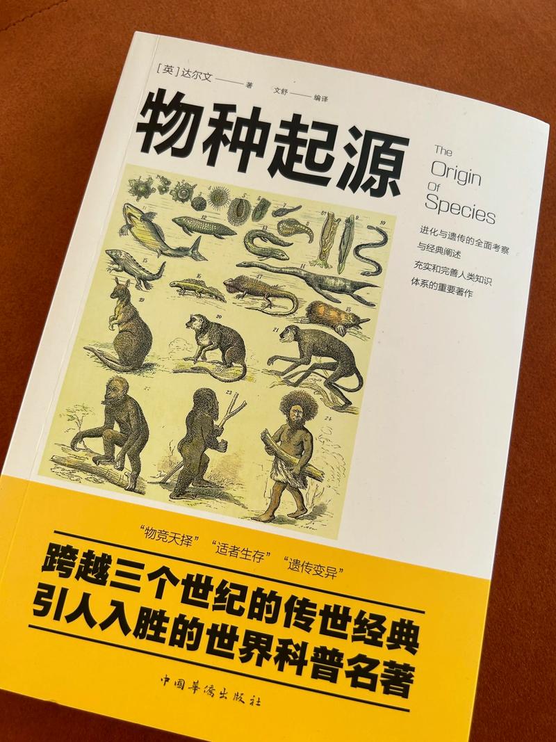 读者文摘在线阅读：精选美文，感悟人生智慧