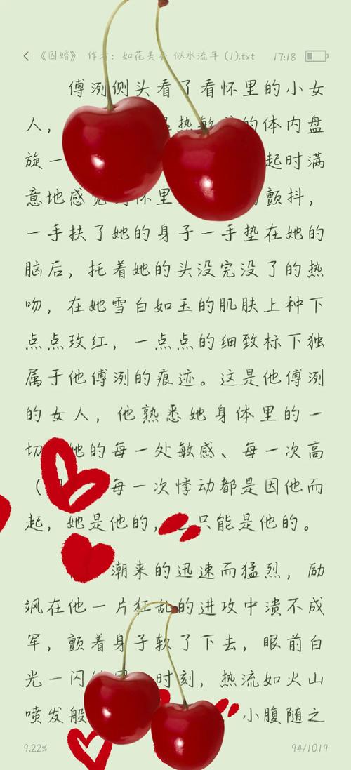 阿宾全文阅读在线78章 | 完整版无删减