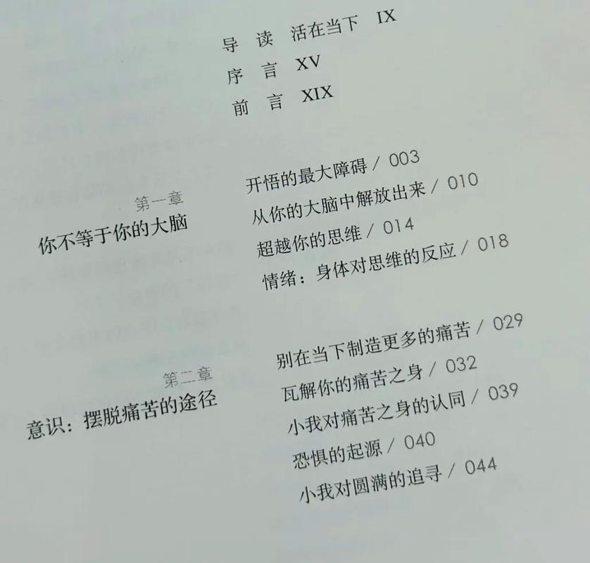 当下的力量在线阅读：开启心灵觉醒的经典之作
