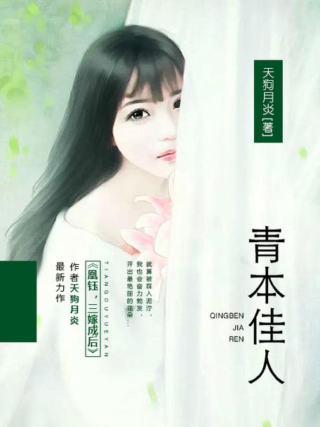 青本佳人在线阅读 | 免费高清无广告小说资源推荐