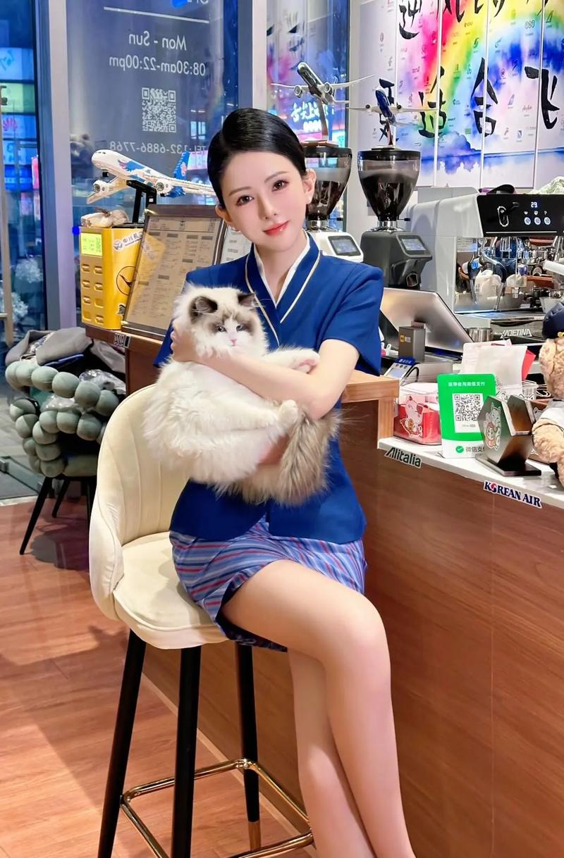 蓝天航空的空姐小说全文免费在线阅读