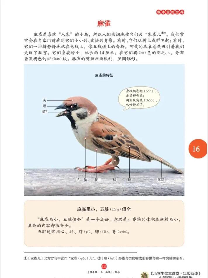 在线免费小说阅读 | 海量热门小说在线看