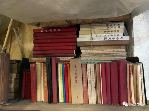 99亿闪婚豪门总裁夜夜忙全文免费在线阅读