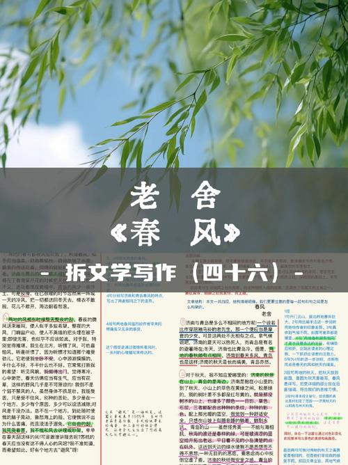老房子的春天全文免费阅读 | 经典怀旧小说在线看