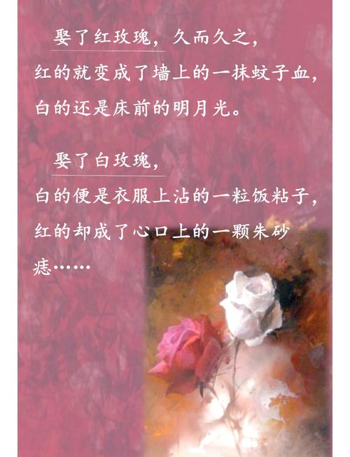 小清欢在线全文阅读，高口碑青春校园小说免费无弹窗