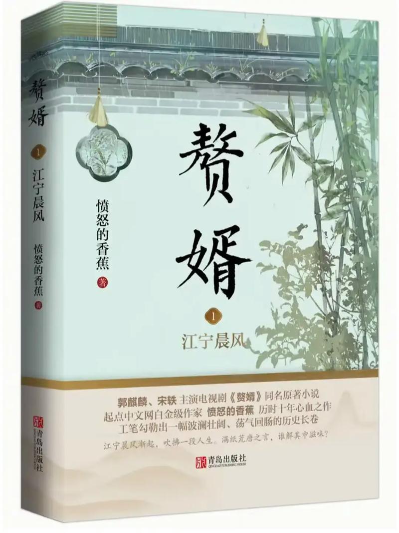 赘婿小说在线阅读 | 宁毅逆袭商界权谋，全文免费阅读