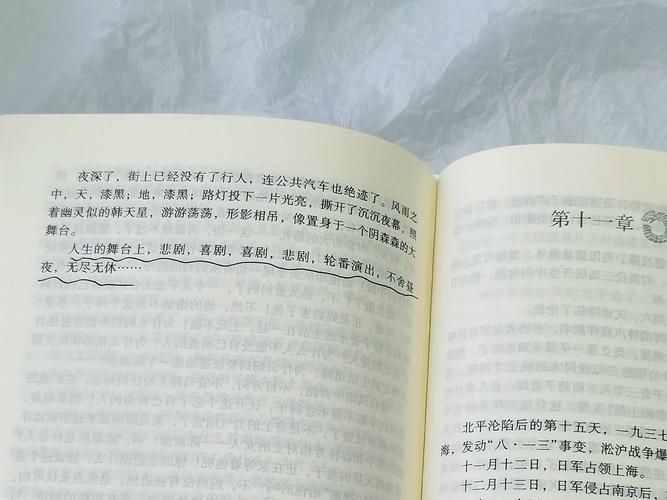 穆斯林的葬礼全文免费在线阅读｜经典文学名著