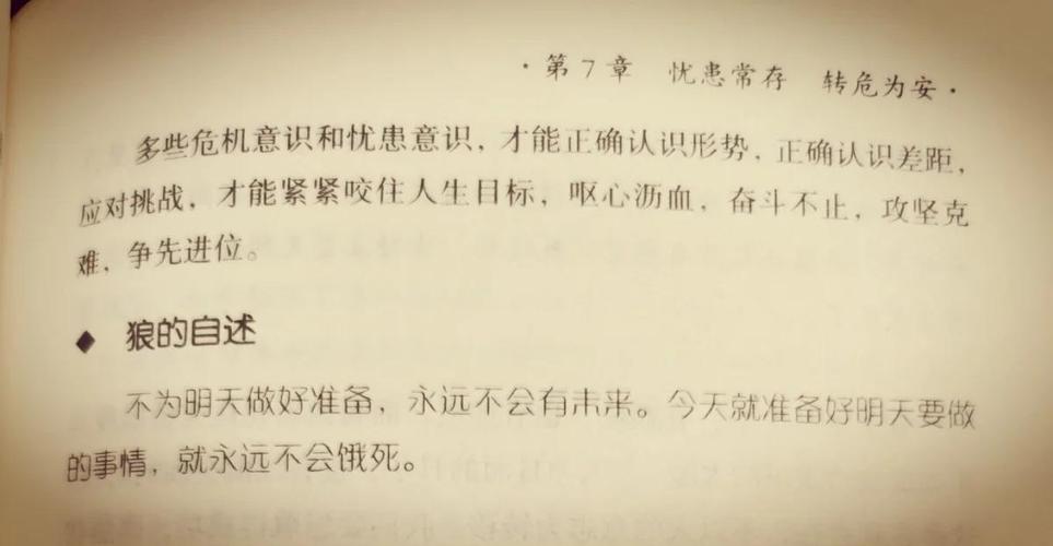 《狼道》全书免费在线阅读|强者生存法则完整版