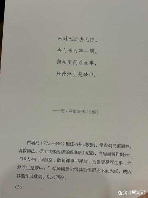 努努书坊 - 海量小说免费在线阅读，尽享优质文学资源