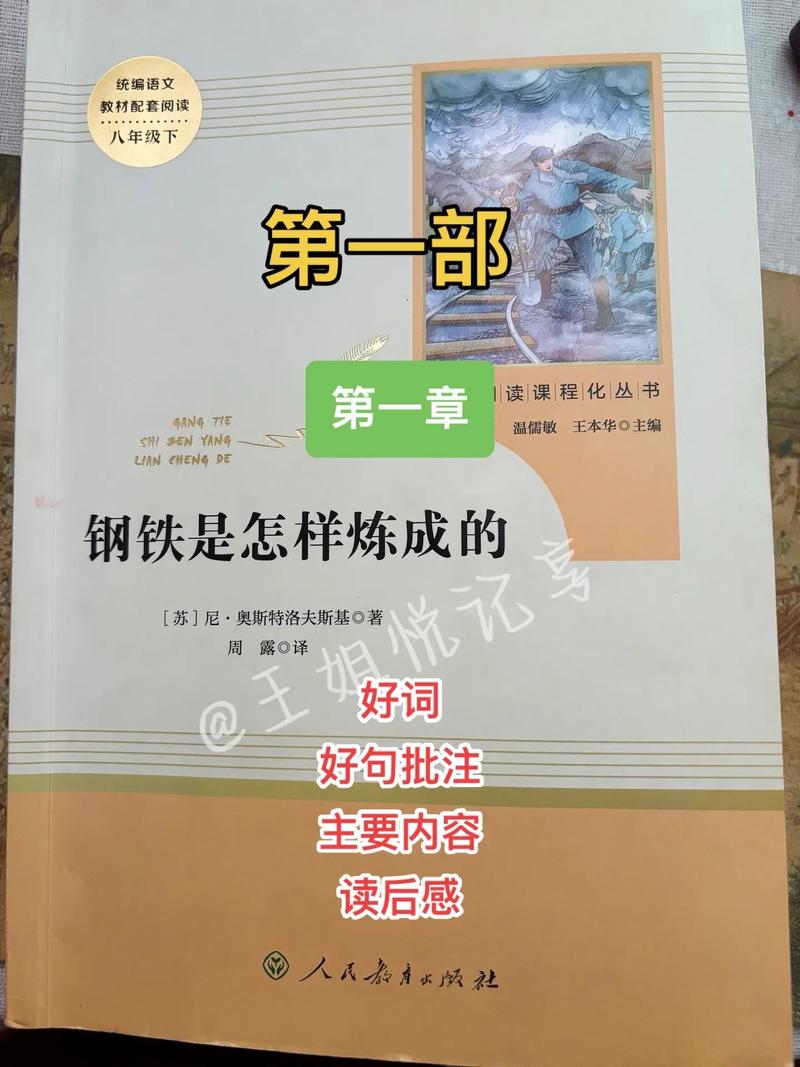 钢铁是怎样炼成的在线阅读：保尔·柯察金的成长革命史诗