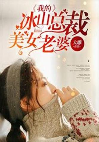 我老婆是冰山女总裁最新章节_全文阅读_无弹窗