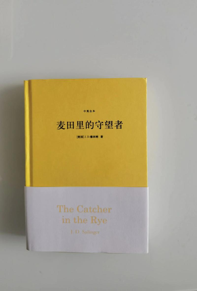 《麦田里的守望者》在线阅读|经典成长小说全文