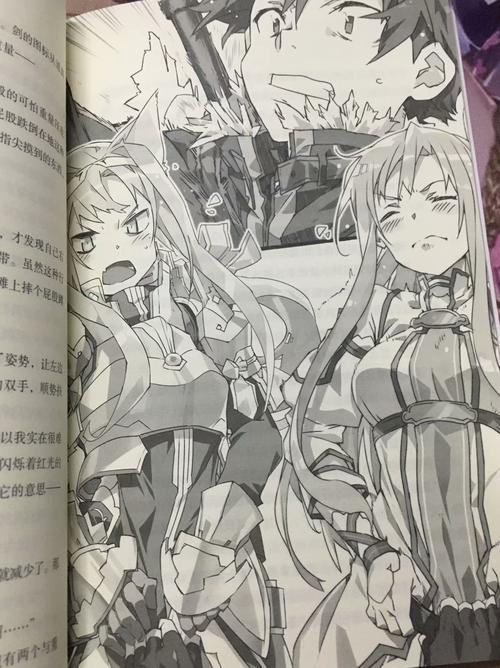刀剑神域21卷在线阅读：桐人亚丝娜激战异界新章