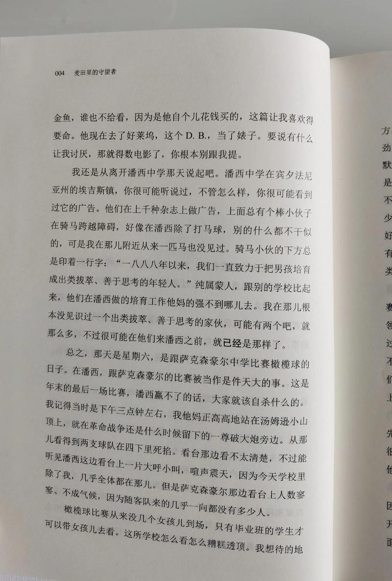 《麦田里的守望者》在线阅读|经典成长小说全文