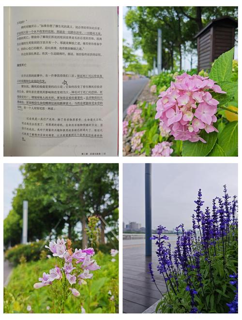 西藏生死书在线阅读 | 经典藏传佛教生死智慧