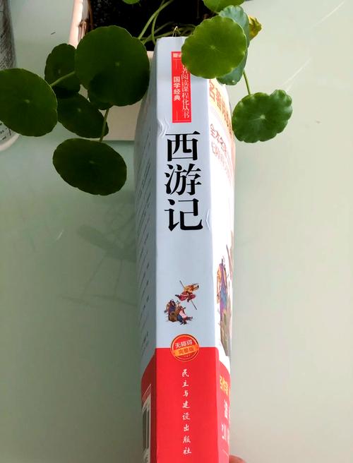 《必备！在线阅读书籍高效阅读技巧，提升你的阅读体验》