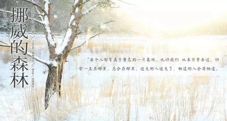 杀死一只知更鸟在线阅读|哈珀·李经典小说全文