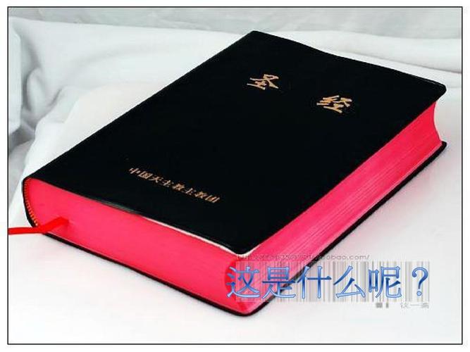 阿宾全文目录在线阅读 - 完整版无删减