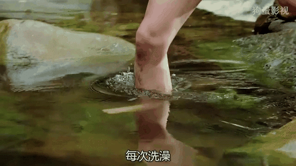 《猛男诞生记》在线阅读:揭秘硬汉成长之路,燃爆你的热血!