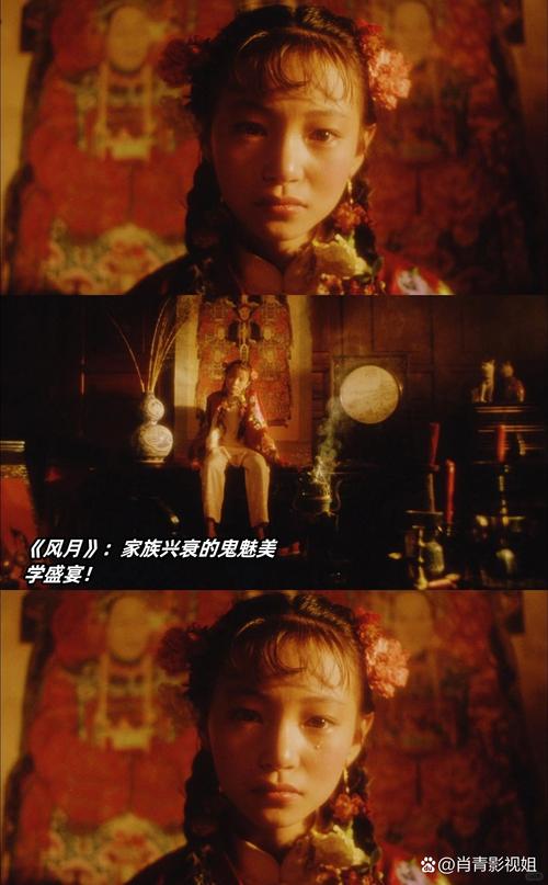 风月大陆全文在线阅读 | 热门小说精彩章节免费看