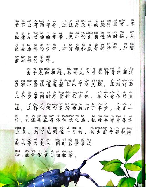 《昆虫记》在线阅读全文 | 法布尔经典科普名著