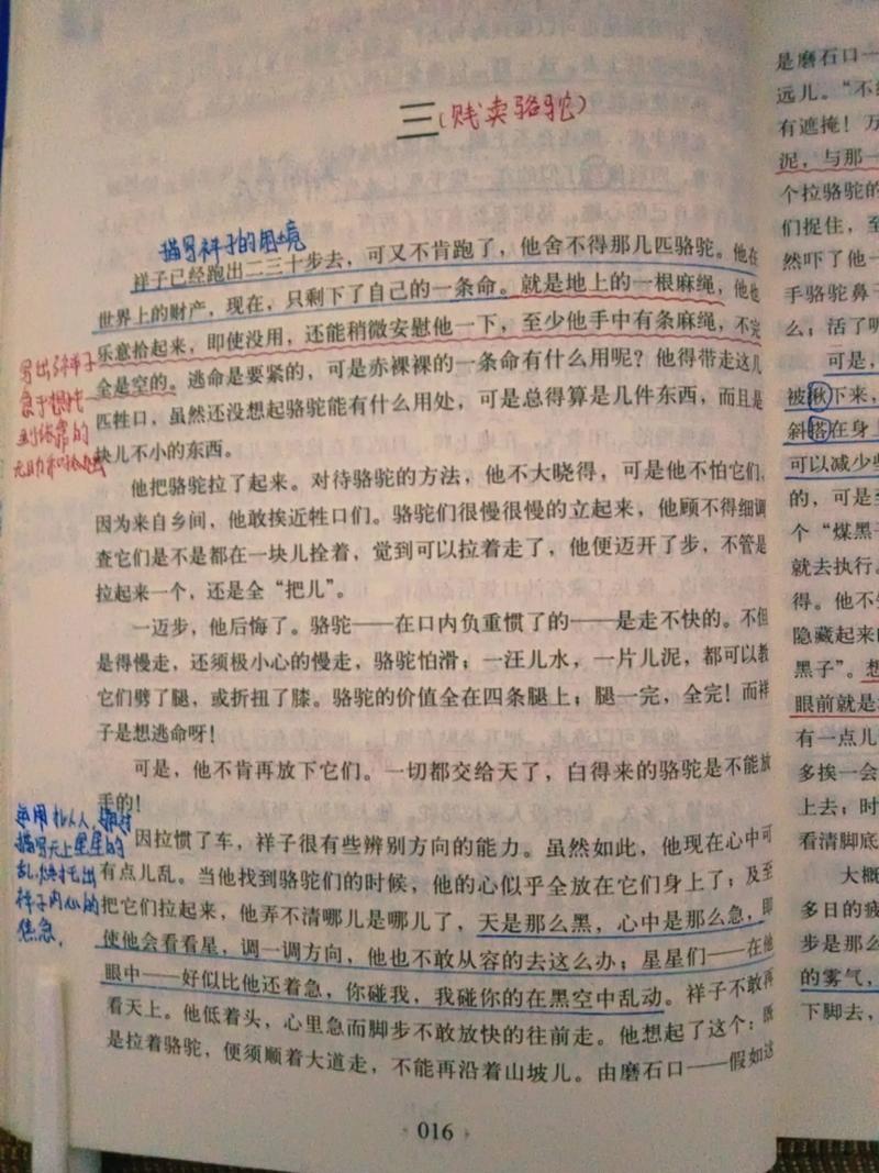 骆驼祥子原著在线阅读 | 老舍经典小说全文免费阅读