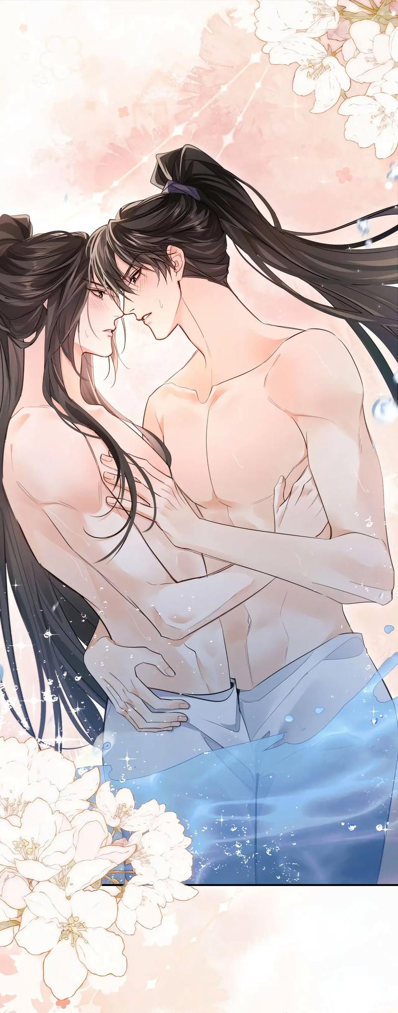 二哈和他的白猫师尊未删减版全文在线阅读|完整章节无删减