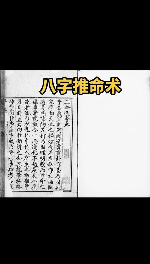 九龙抬棺张九阳林婉小说全文在线阅读