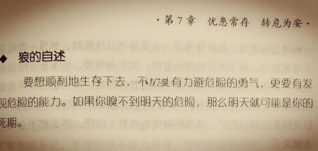 莫言小说全集在线免费阅读 - 经典作品高清电子版