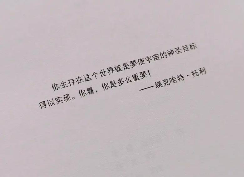 多男强轮一女人小说全文阅读 | 热门连载无删减