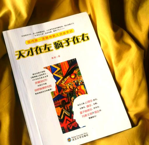 天才在左疯子在右在线阅读：探索精神病人的奇幻内心世界