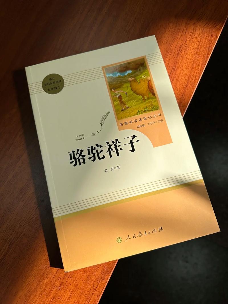 猛男诞生记在线阅读 | 完整版无删减章节更新