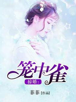 掠婚小说免费阅读在线 - 独家甜虐交织全文无广告