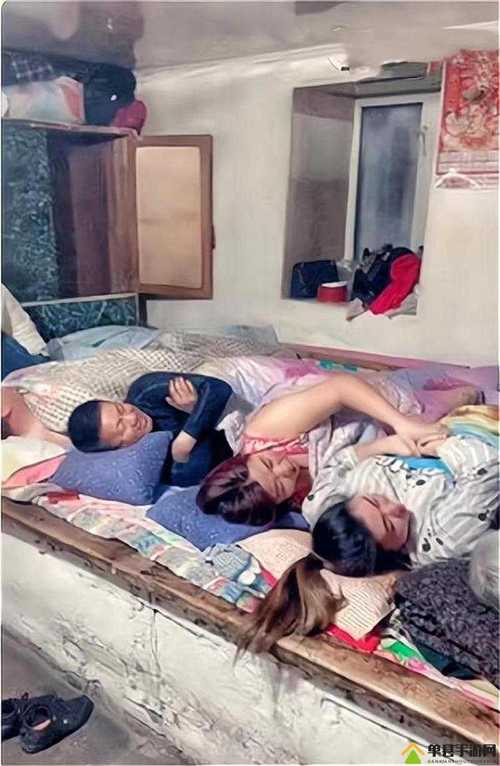 东北大炕全文免费阅读 | 经典乡土文学在线看