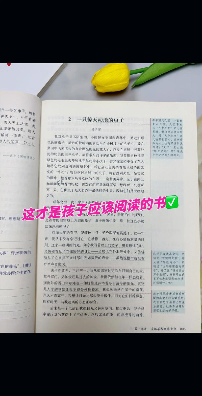 笑猫日记全集在线阅读 | 杨红樱经典儿童小说免费看