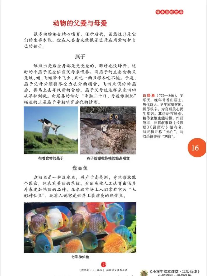 平凡女人的春天全文免费在线阅读 | 平凡女人逆袭成长故事