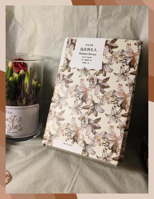 包法利夫人在线阅读 | 经典名著全文免费赏析