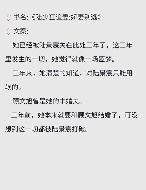 苦婚全文免费在线阅读 - 苦婚小说最新章节