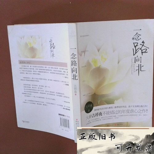 一念路向北全文免费在线阅读 | 小说最新章节更新