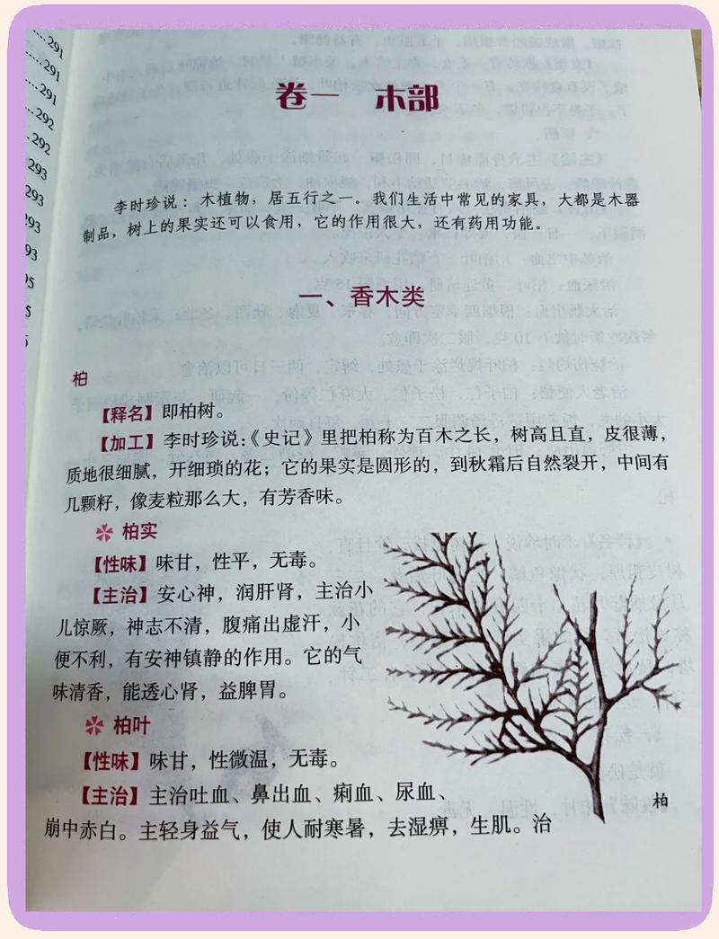 盗墓笔记在线阅读 | 南派三叔经典盗墓小说全文阅读