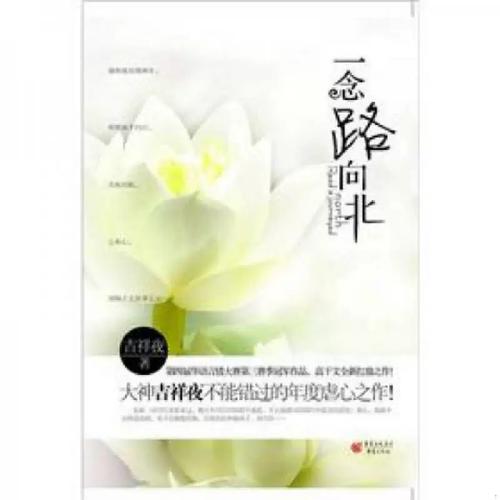 一念路向北全文免费在线阅读 | 小说最新章节更新