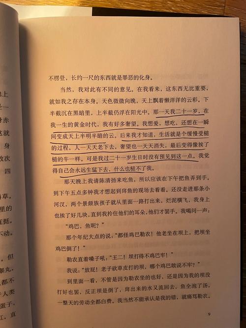 黄金时代在线阅读 | 王小波经典作品全文免费阅读
