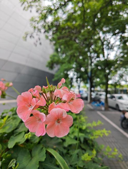 西藏生死书在线阅读 | 经典藏传佛教生死智慧