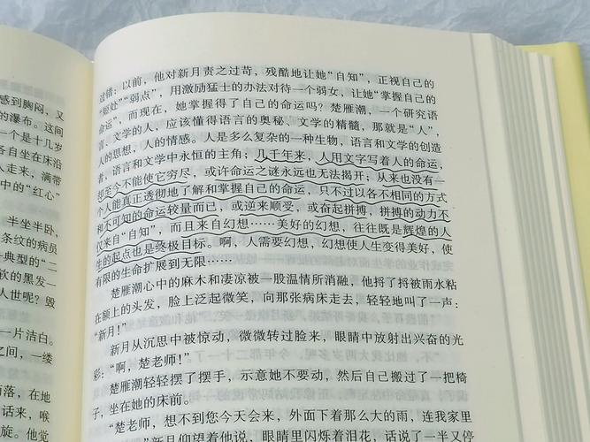 萌妻太甜总裁宠上瘾全文免费在线阅读