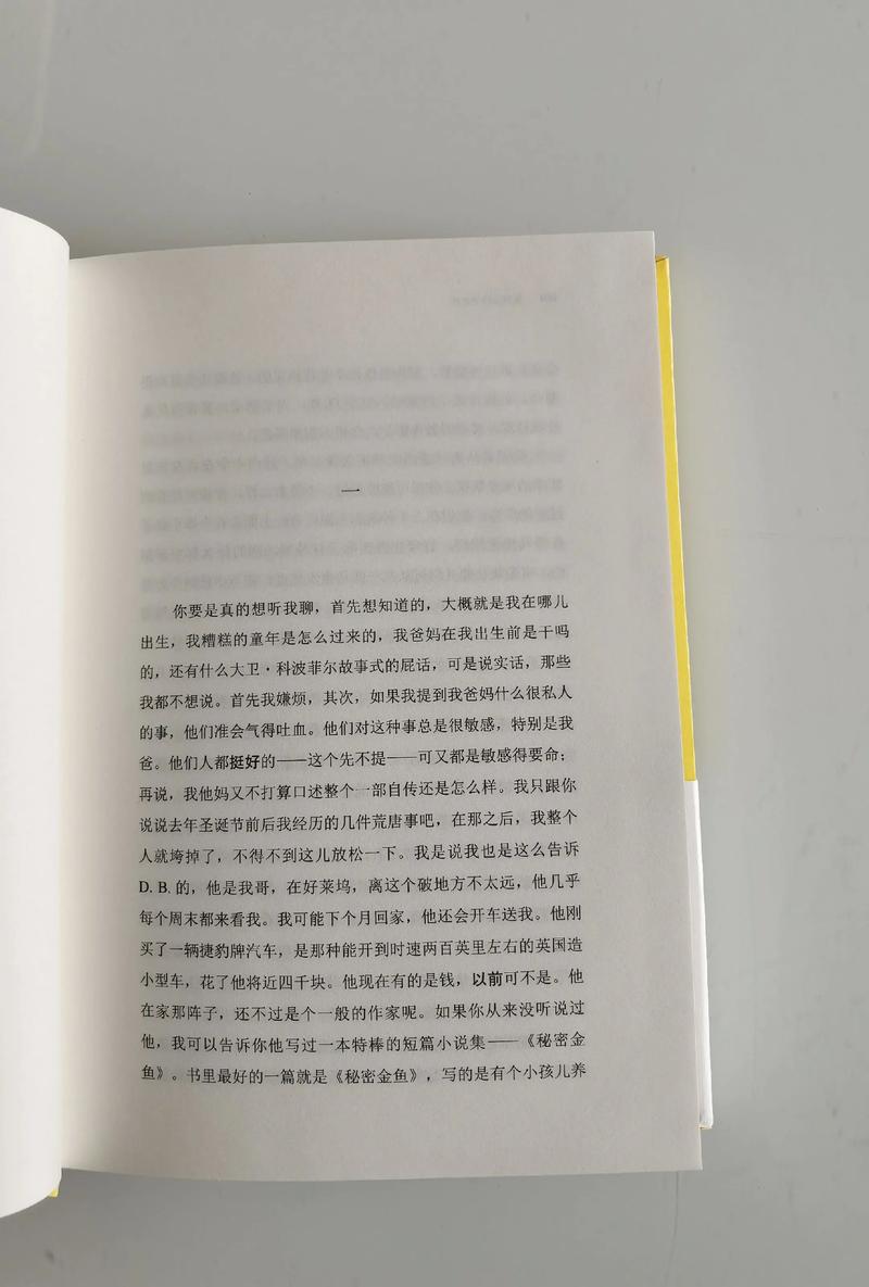 《麦田里的守望者》在线阅读|经典成长小说全文