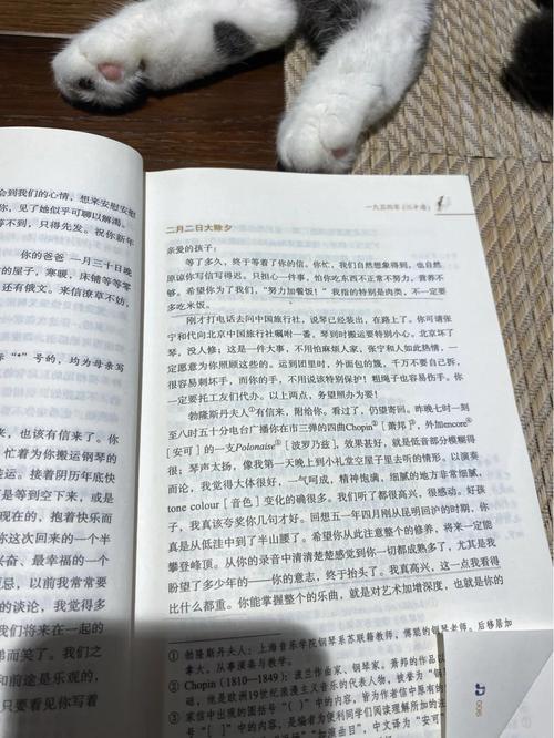 免费小说在线阅读 - 海量热门小说免费在线看