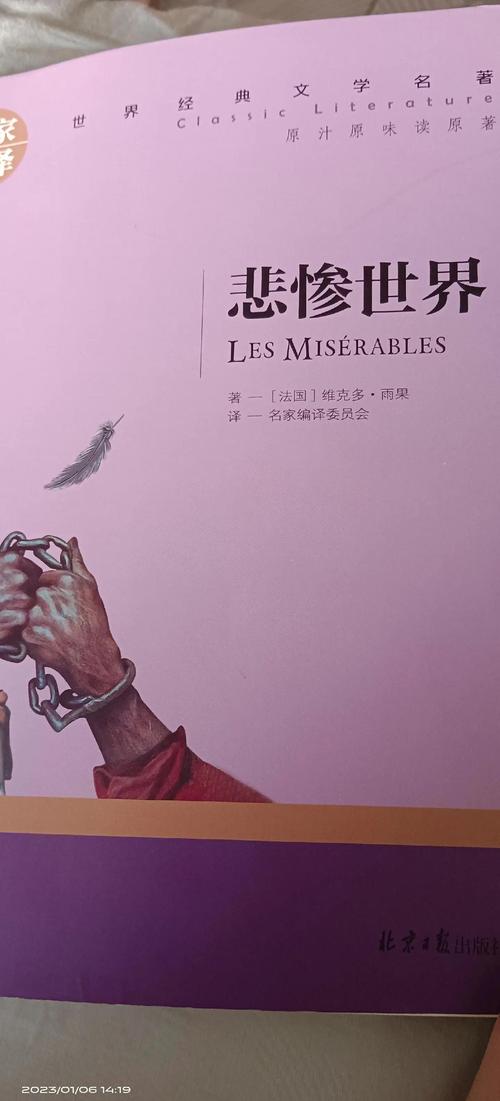 掠婚小说免费阅读在线 - 独家甜虐交织全文无广告